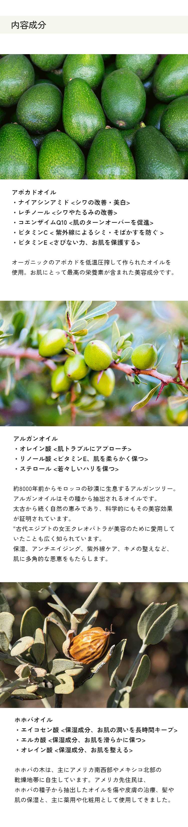 内容成分