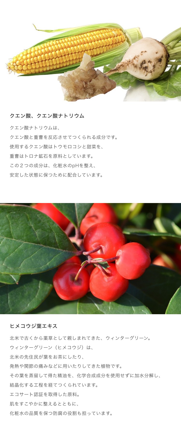 内容成分 クエン酸、クエン酸ナトリウム / ヒメコウジ葉エキス